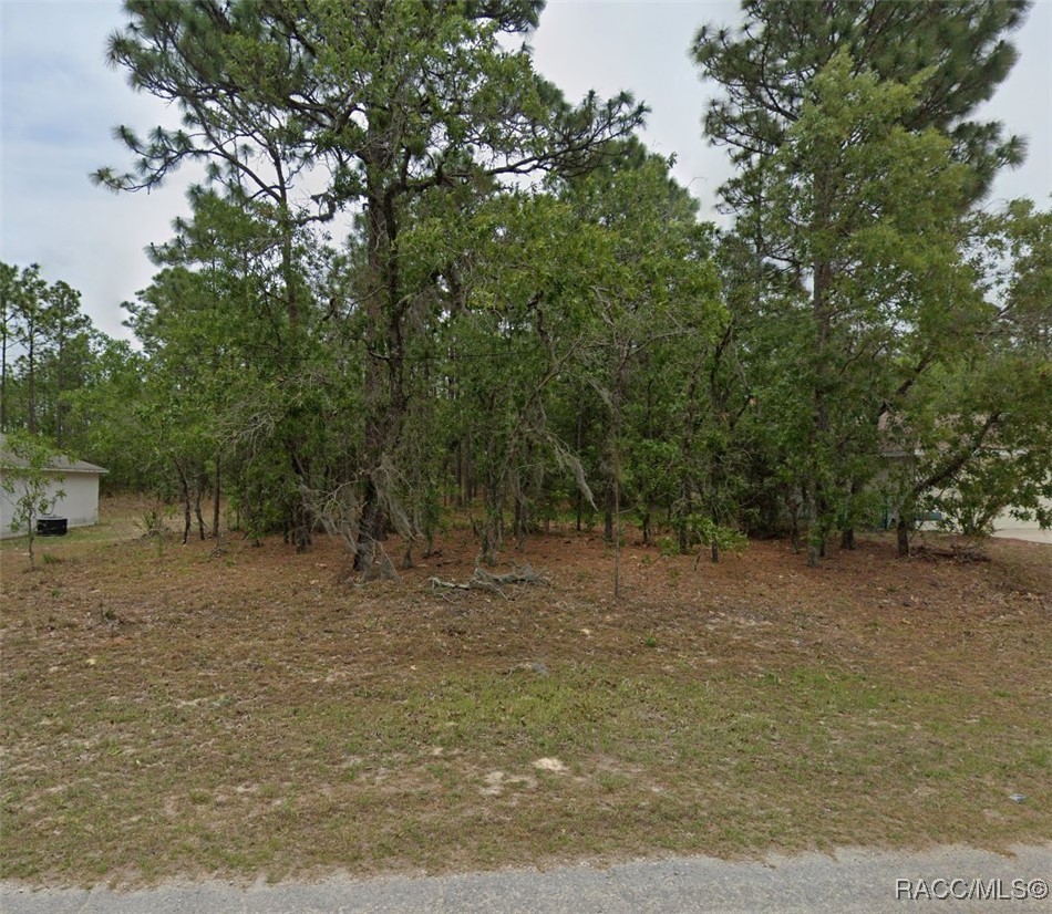 1485 W Lamplighter Street