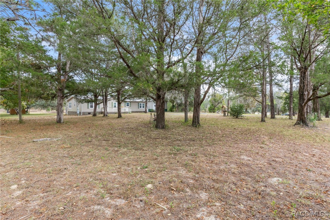 6329 & 6355 S Canna Lily Avenue