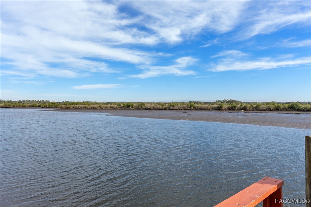 11996 W Bald Eagle Court