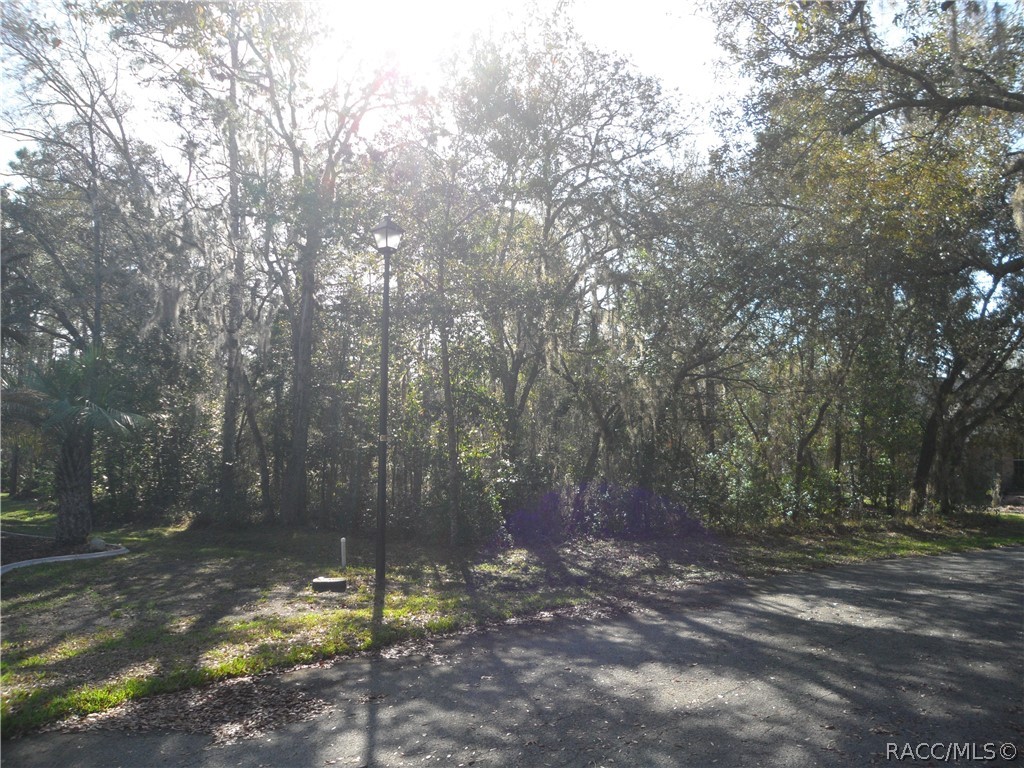 10 Impatiens Court