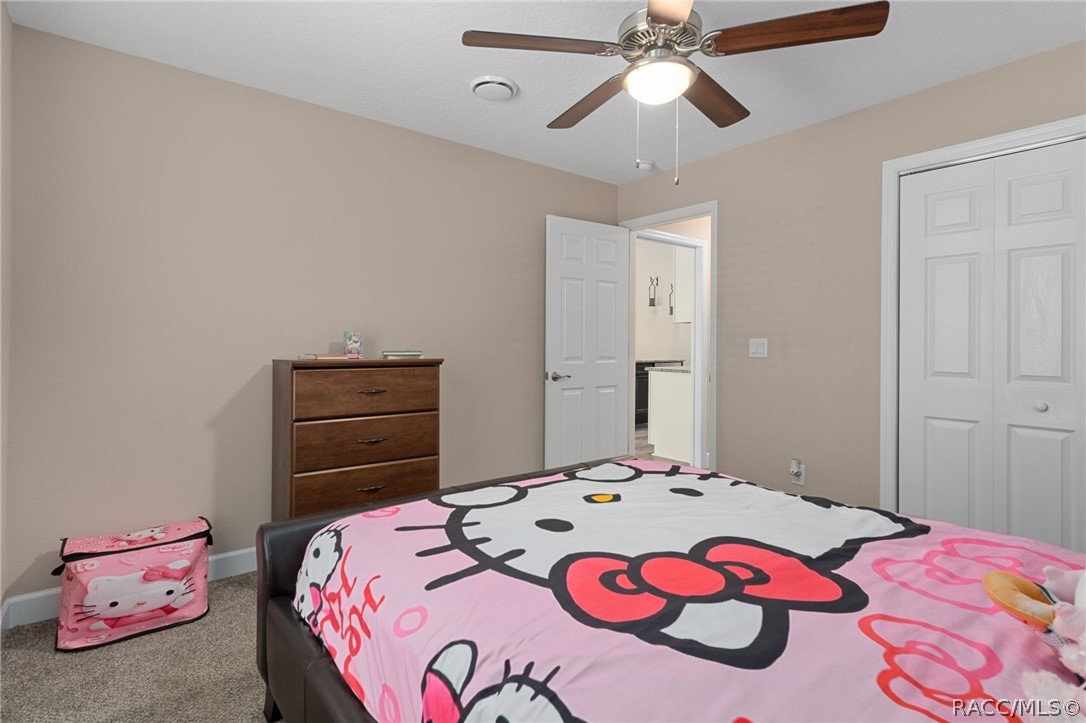 4268 N Saddletree Drive