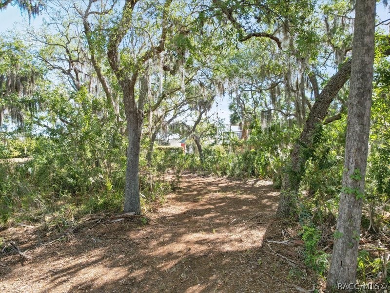 1465 S Surf Loop