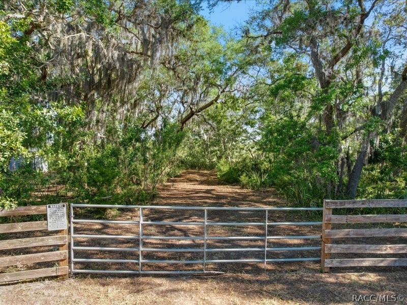 1465 S Surf Loop