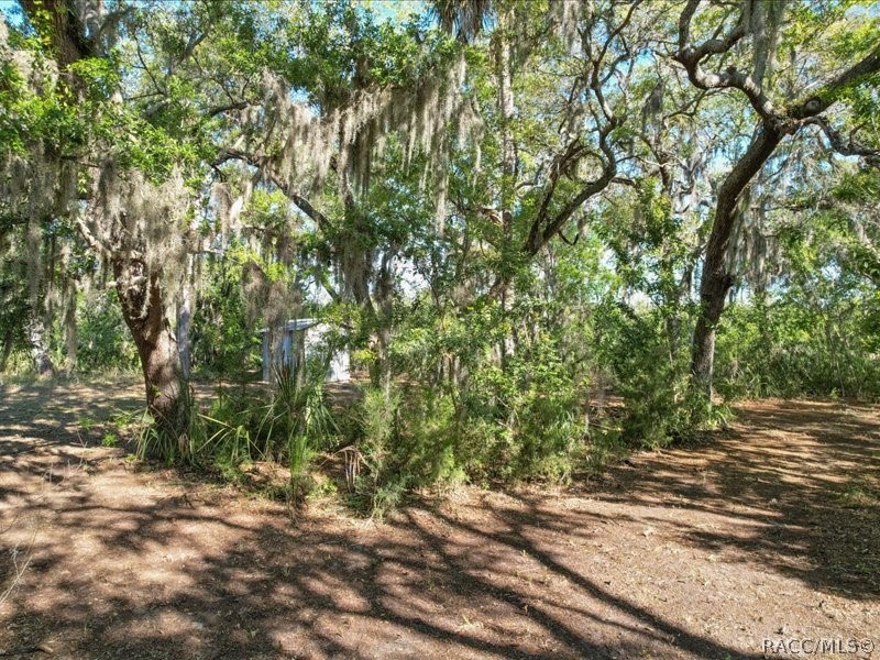 1465 S Surf Loop