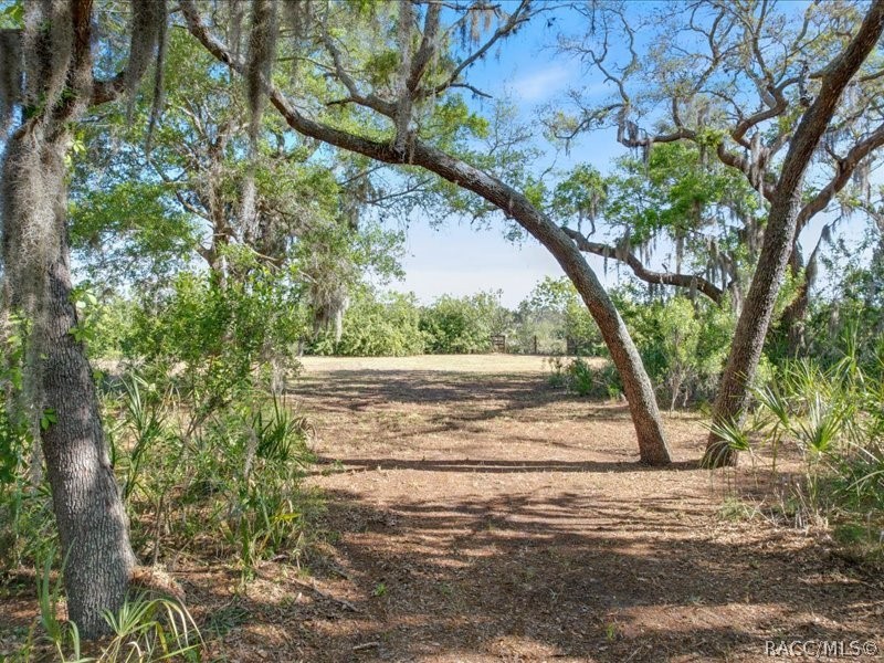 1465 S Surf Loop