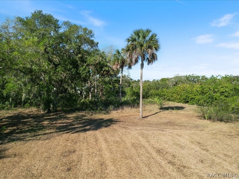 1465 S Surf Loop