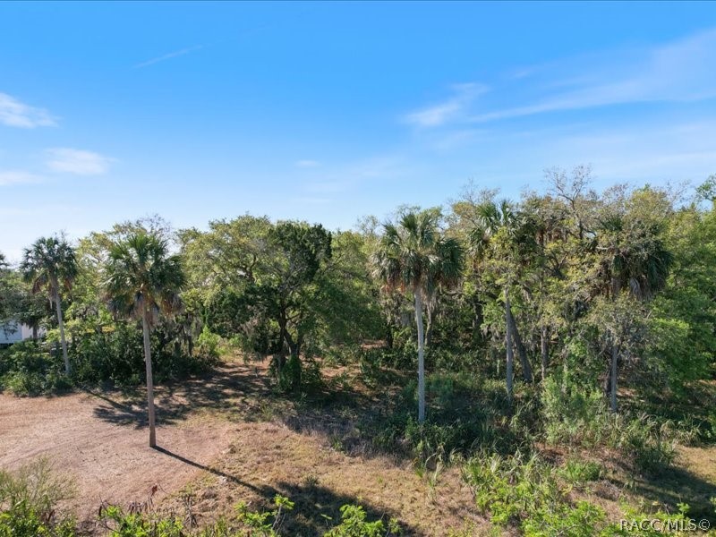 1465 S Surf Loop
