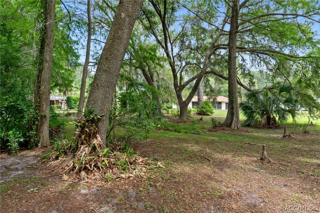 2809 W Cypress Drive