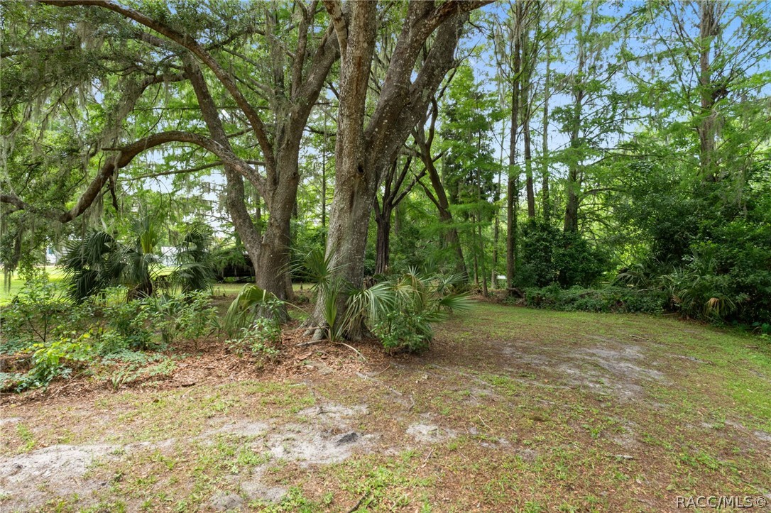 2809 W Cypress Drive
