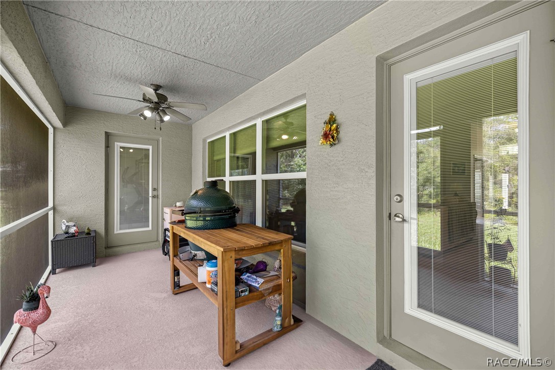 84 Vinca Street