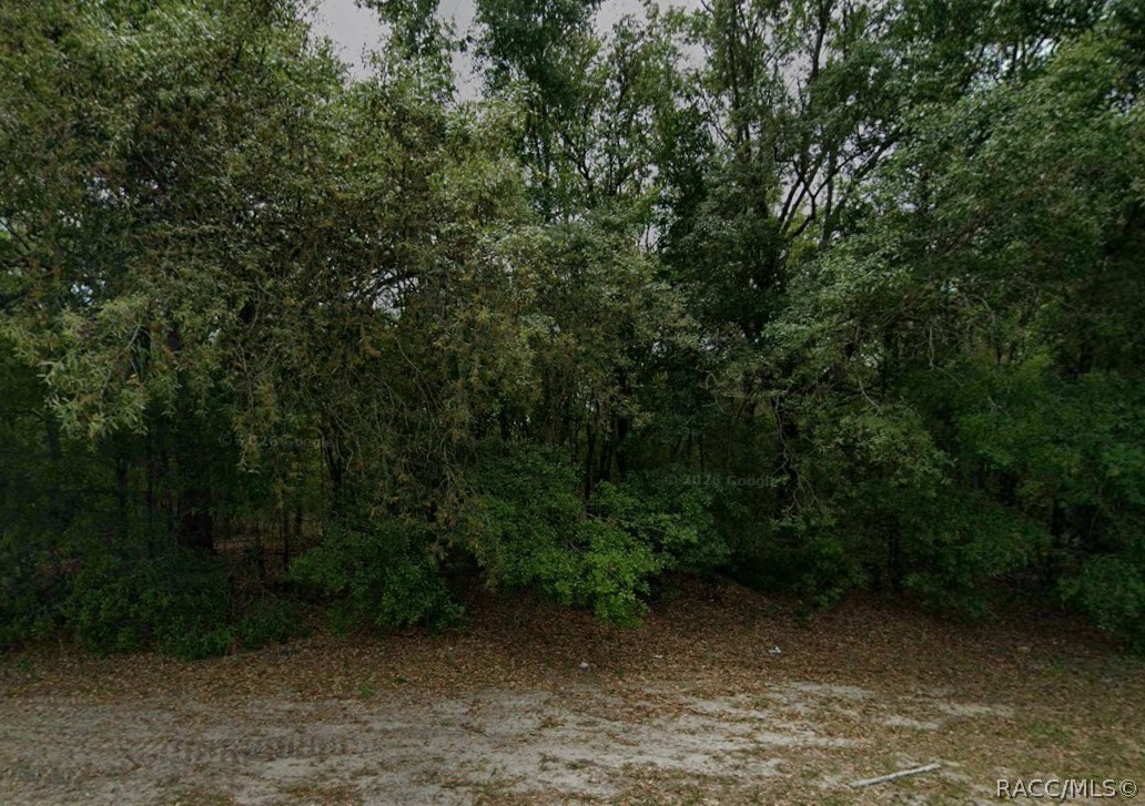 588 & 602 W Anderson Lane