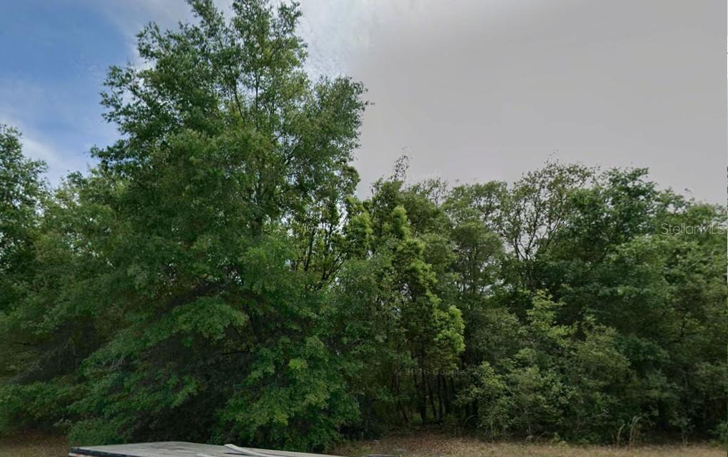 602 W ANDERSON LN