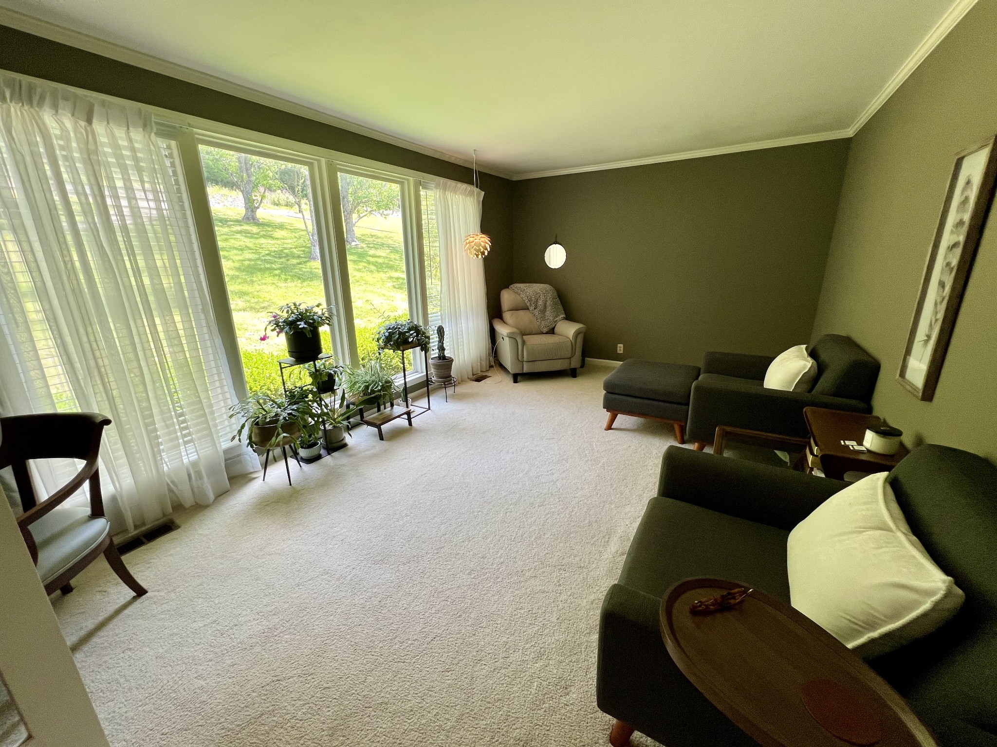 885 Holly Tree Gap Rd