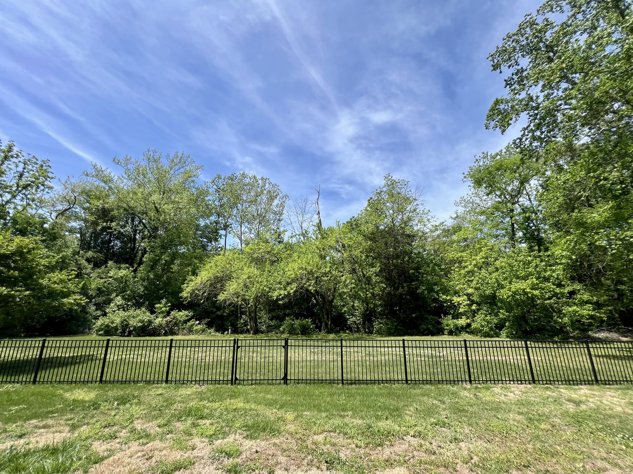 885 Holly Tree Gap Rd