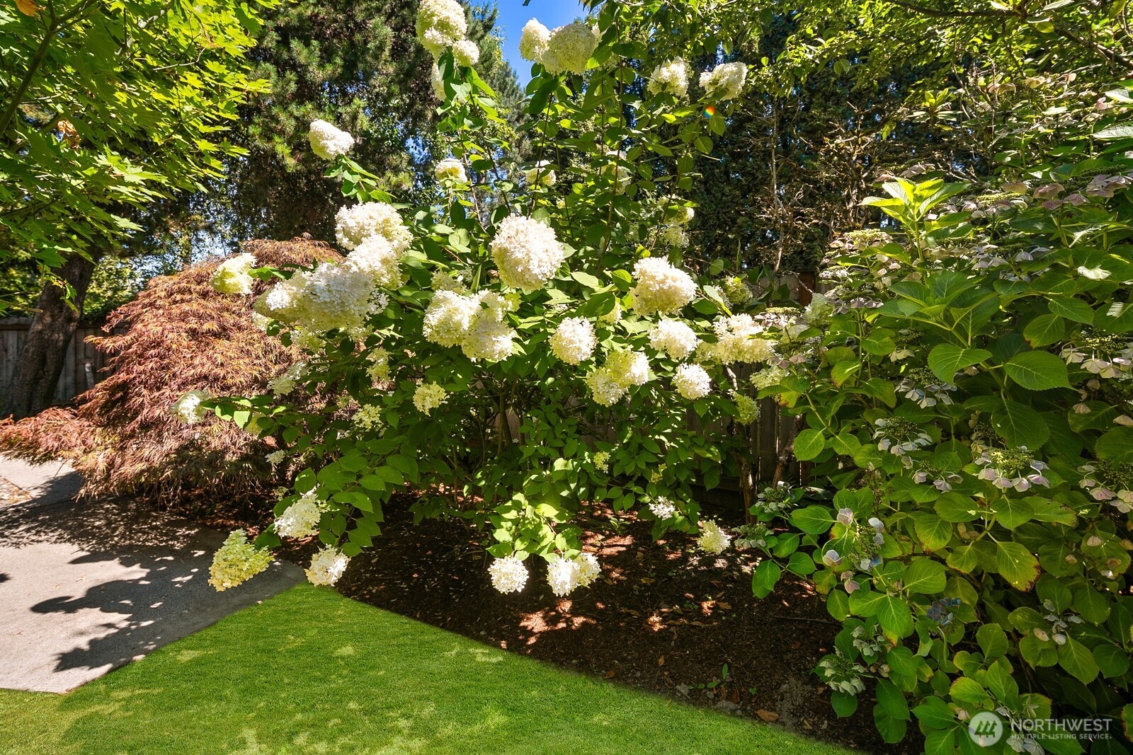 10040 35th Avenue NE