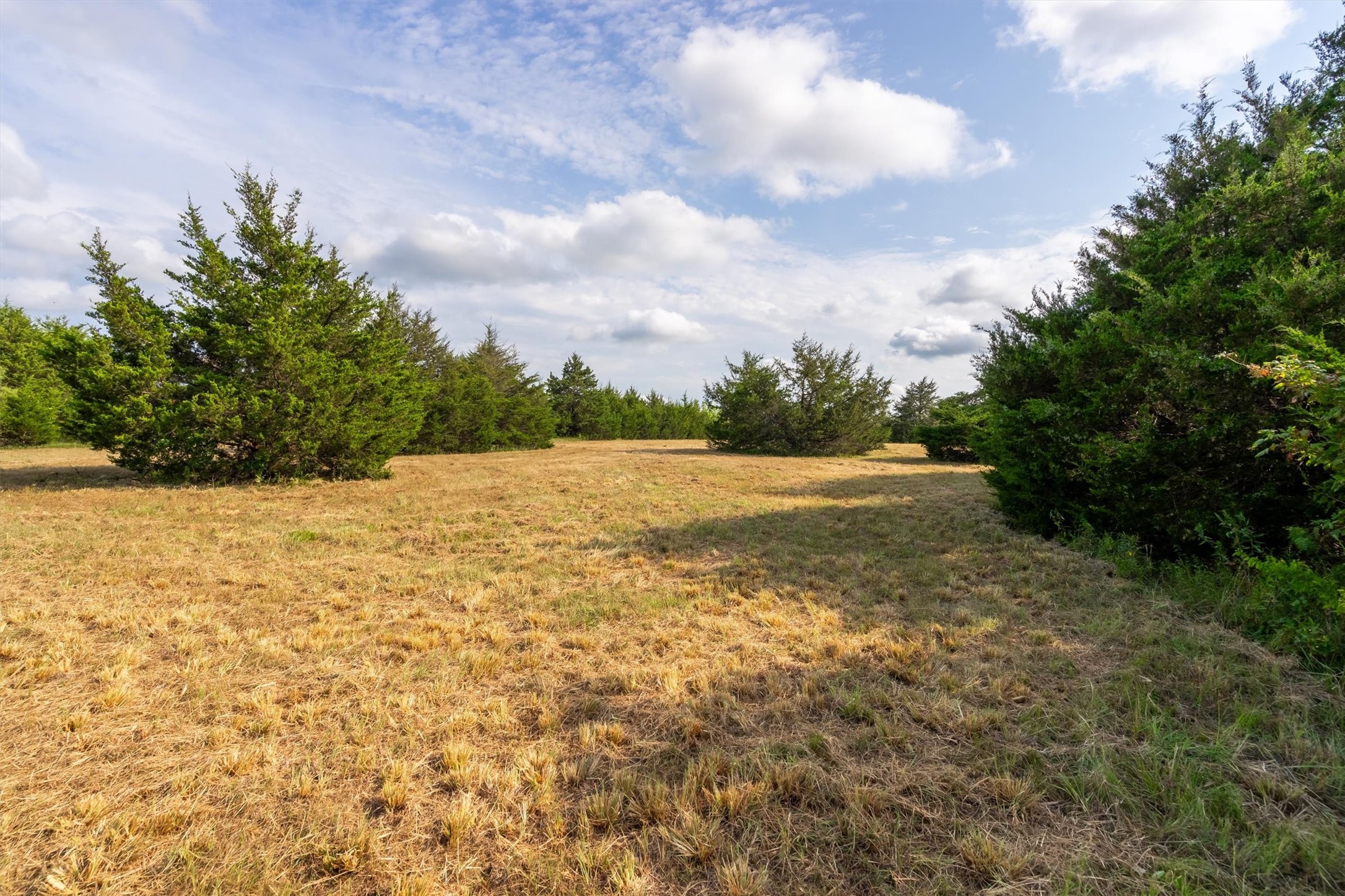 7958 County Road 2580