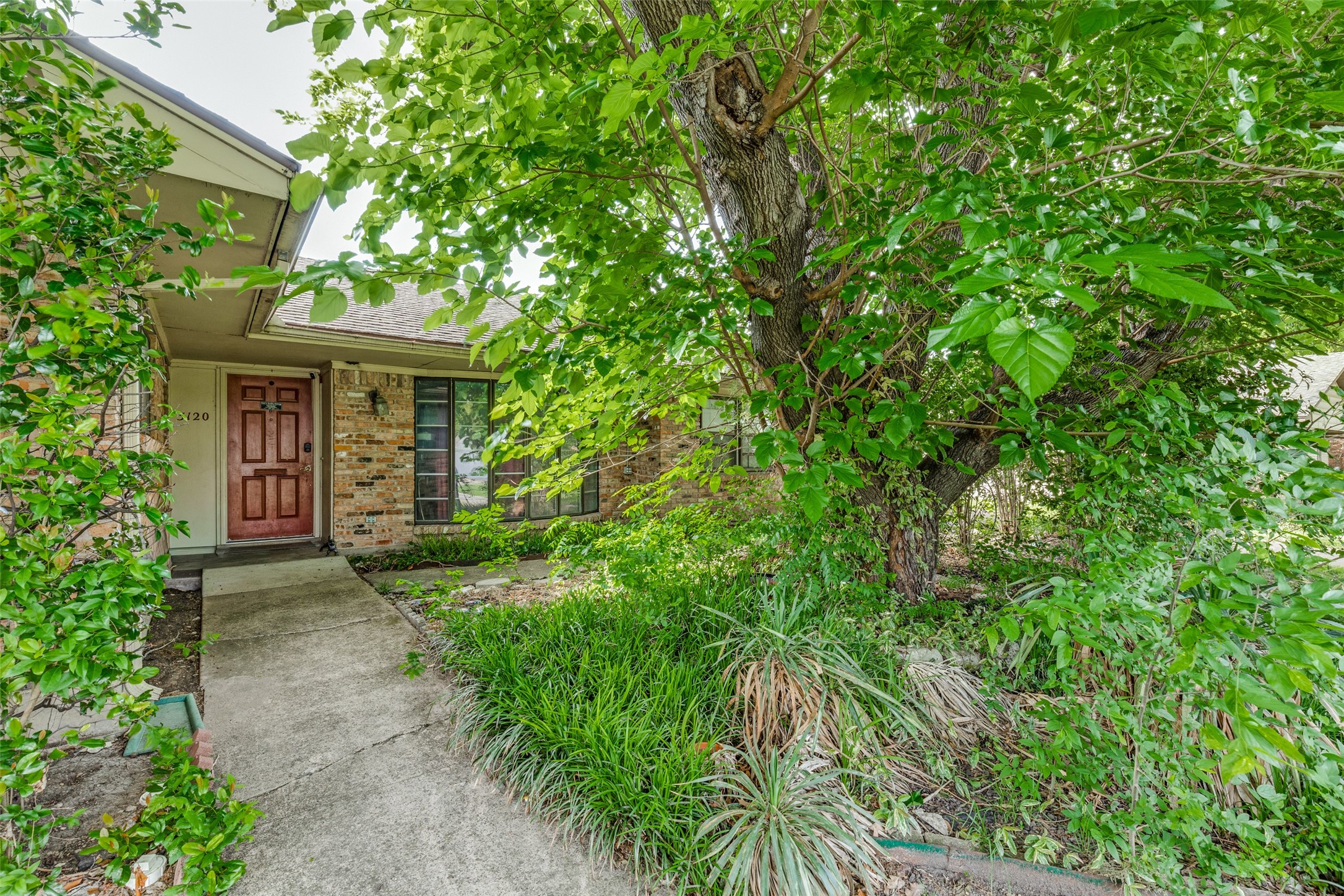 3120 Sombrero Drive