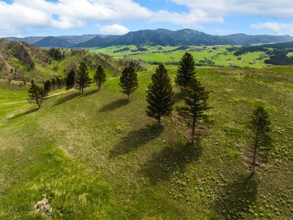 Bozeman