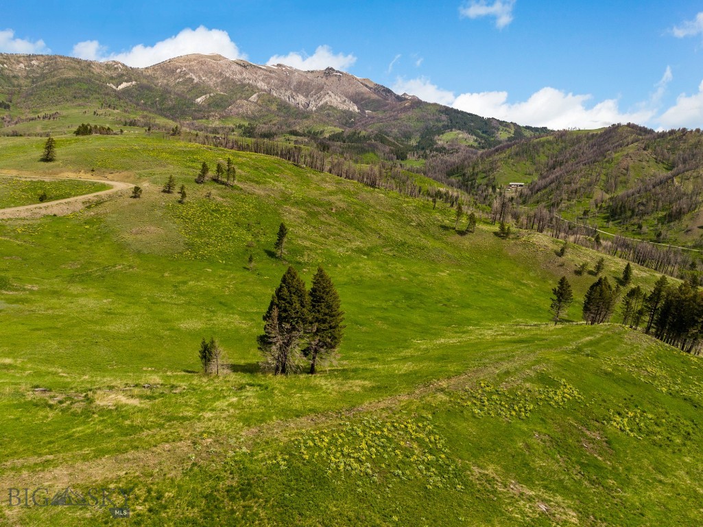 Bozeman
