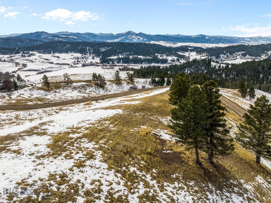 Bozeman