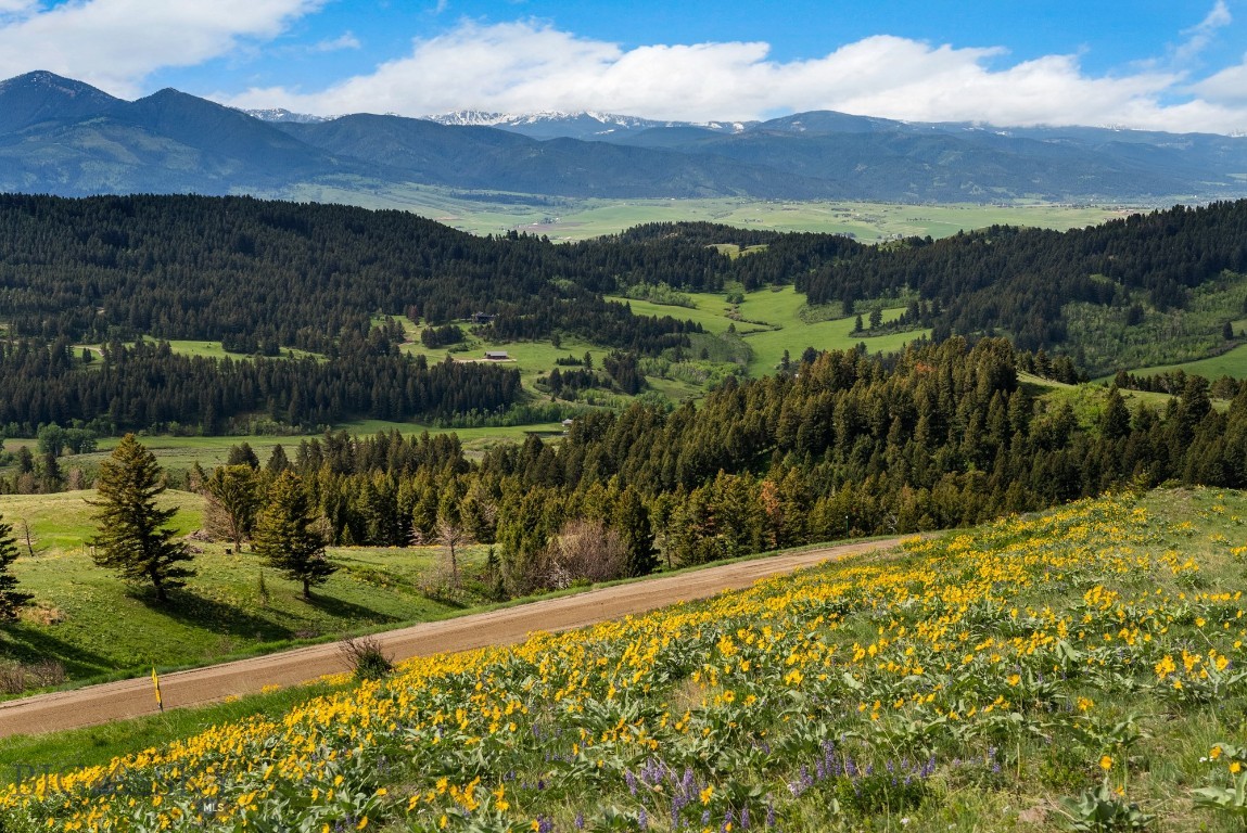 Bozeman