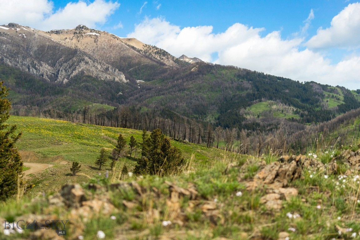 Bozeman