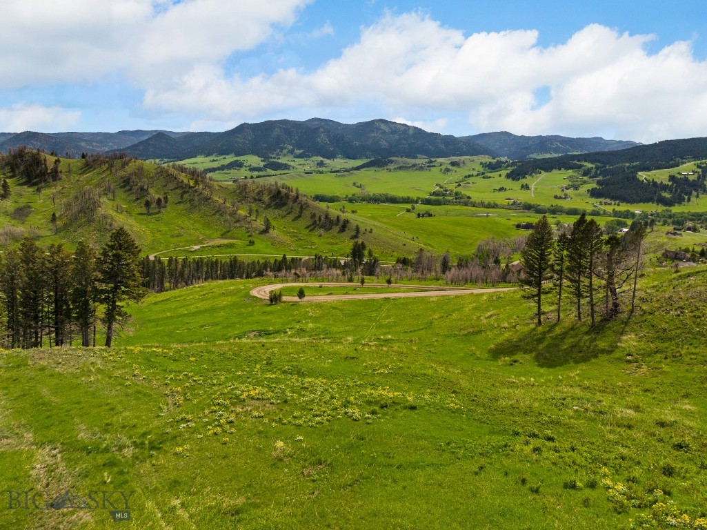 Bozeman