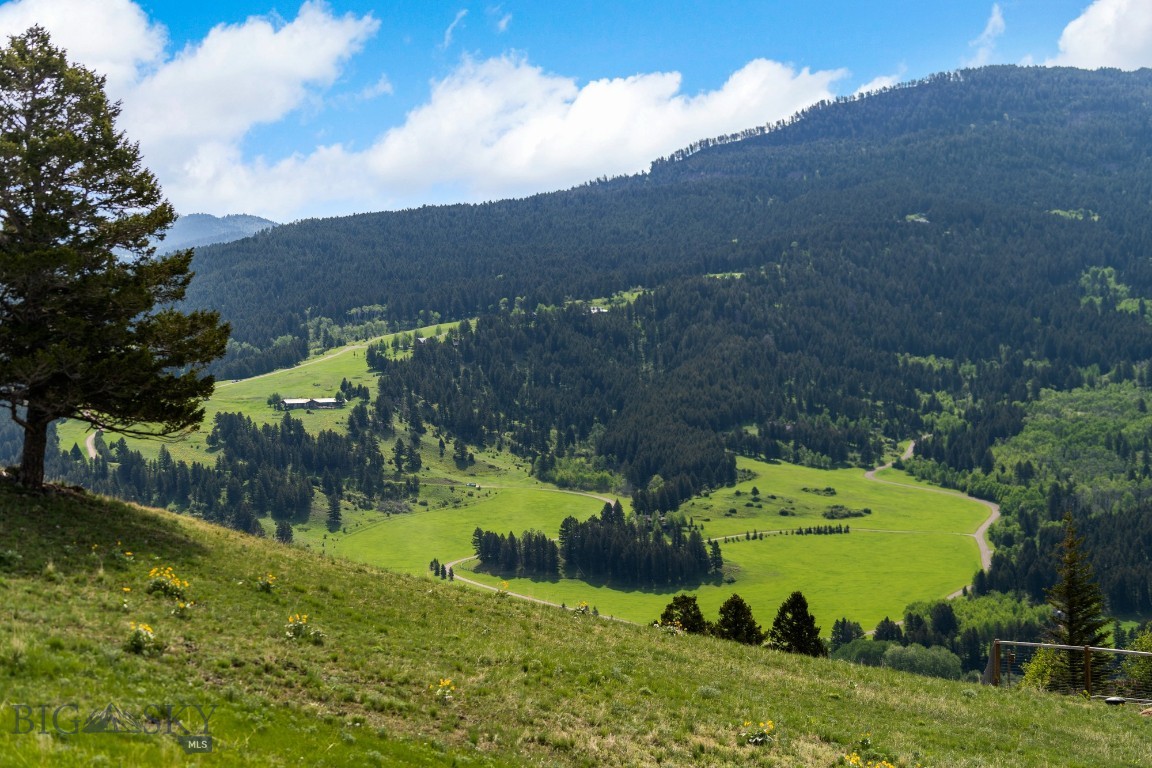 Bozeman