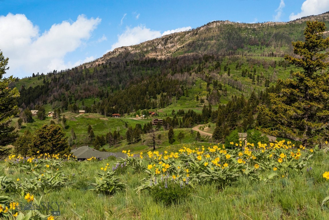 Bozeman