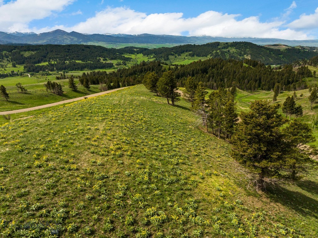 Bozeman