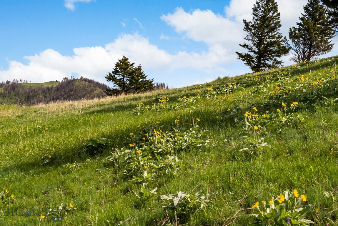 Bozeman