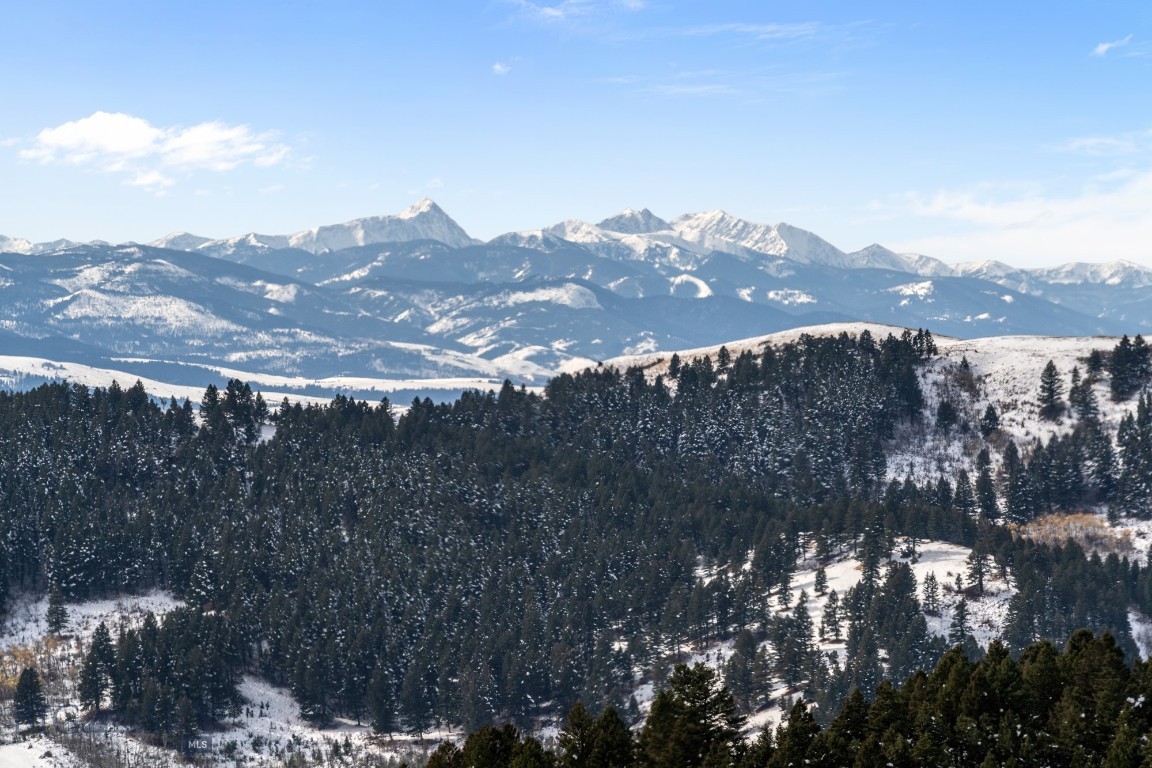Bozeman