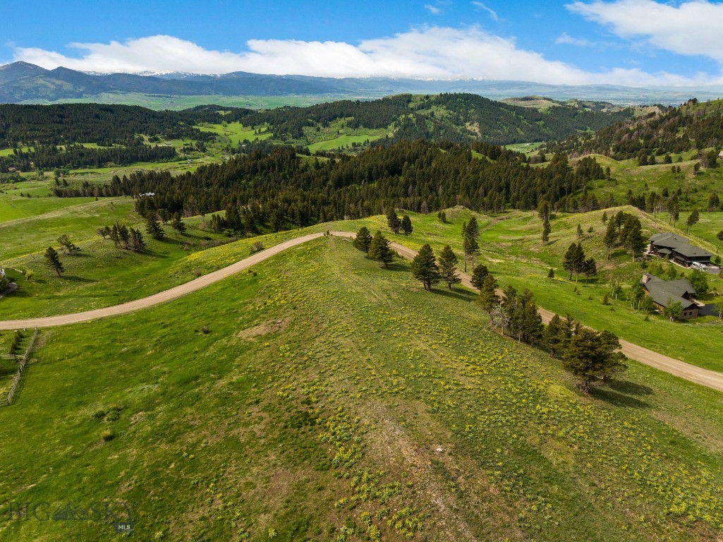Bozeman