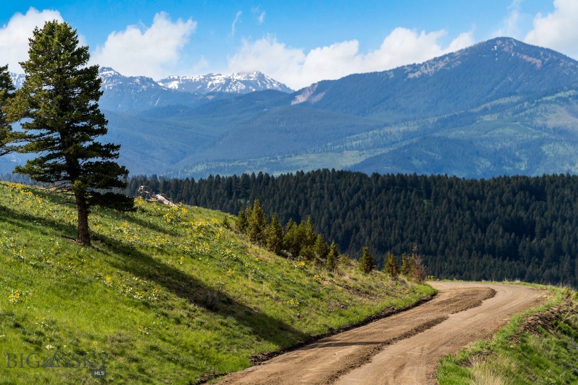 Bozeman