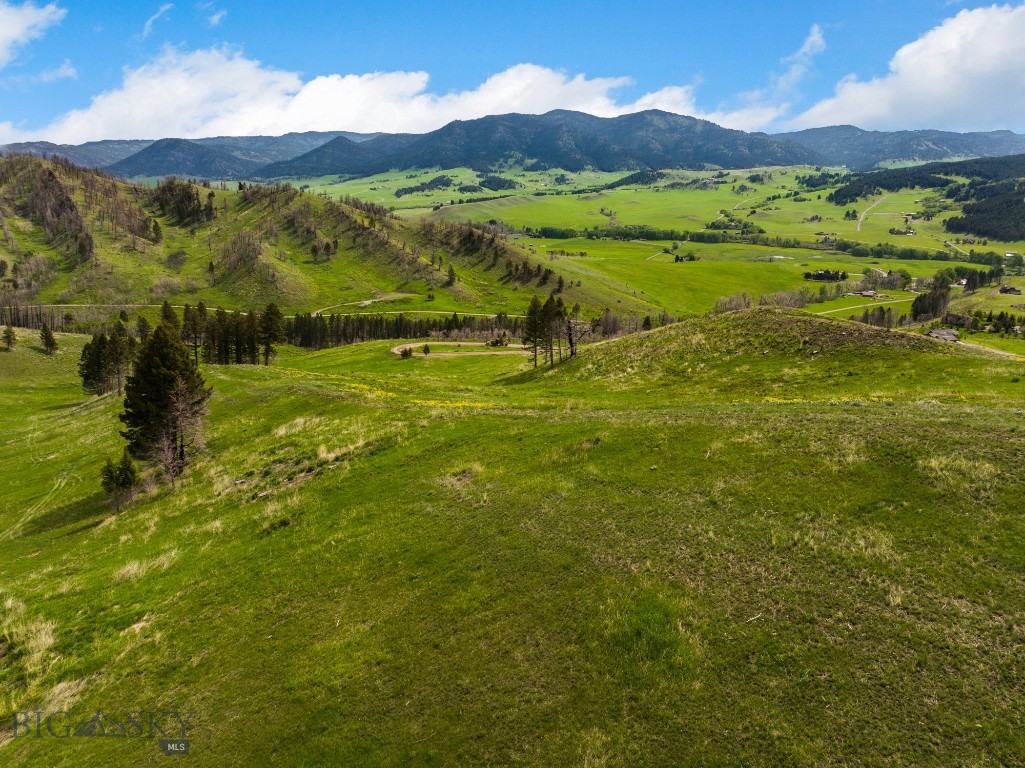 Bozeman