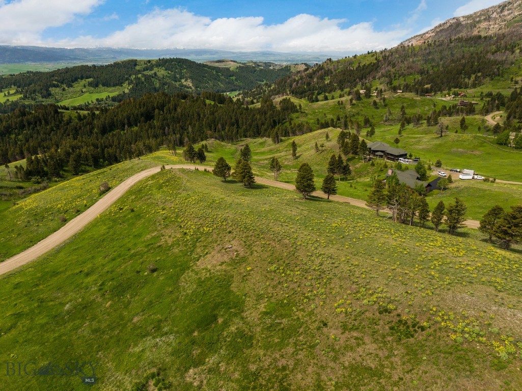 Bozeman