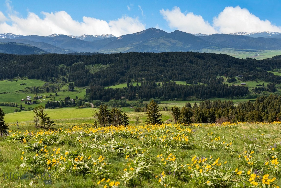 Bozeman