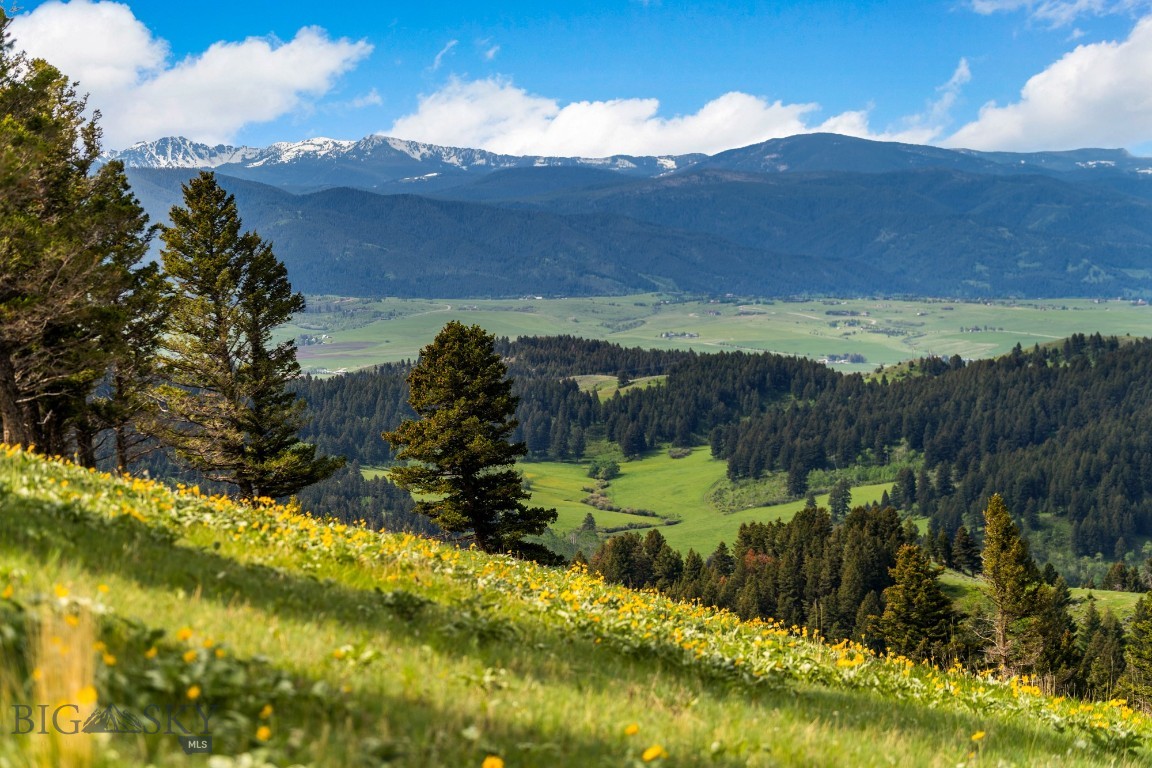 Bozeman