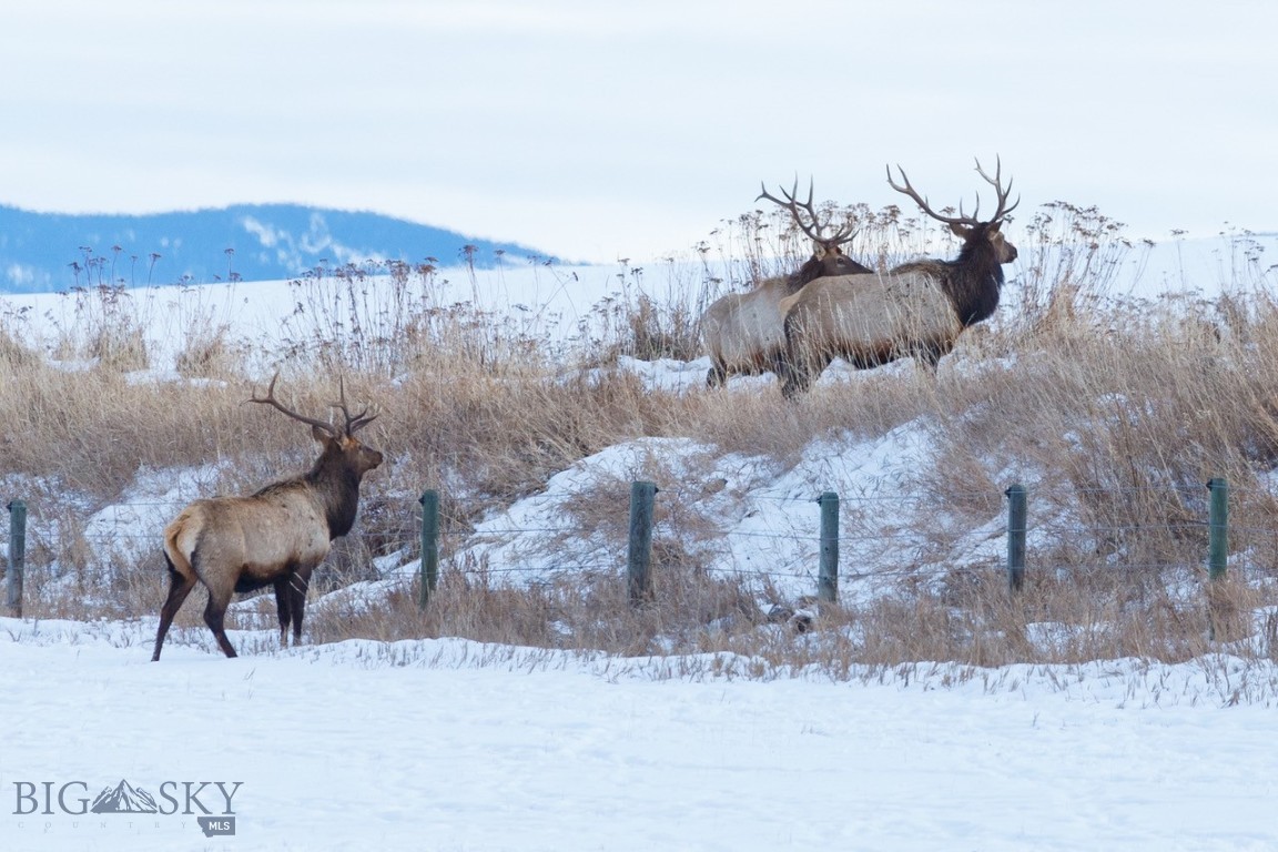 855 Deer Path