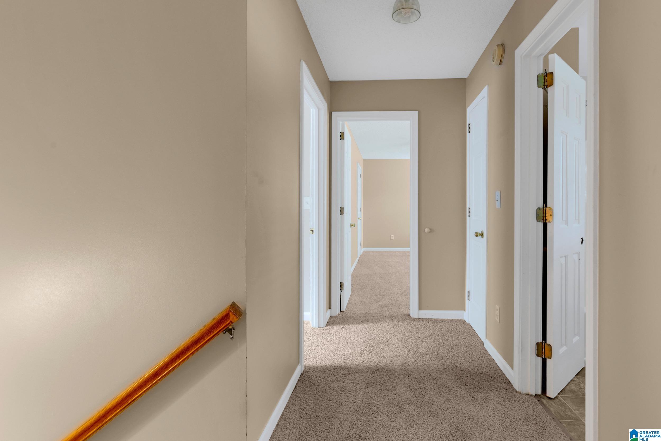 113 CAMBRIDGE TERRACE