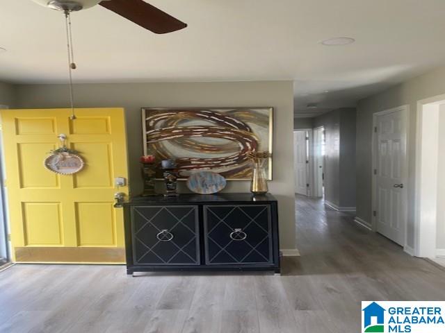 513 CAMELLIA ROAD