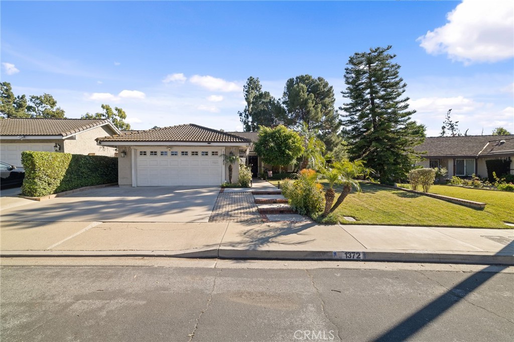 1372 Avenida Loma Vista