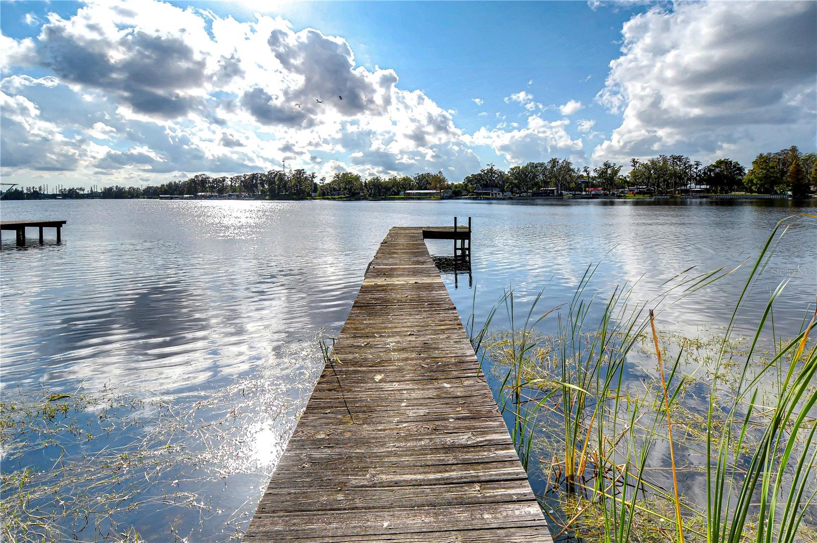 3207 LAKE PADGETT DR