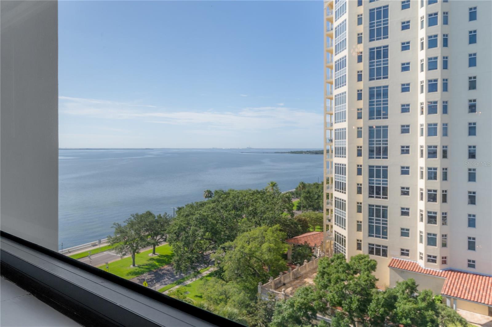 4141 BAYSHORE BLVD #1003