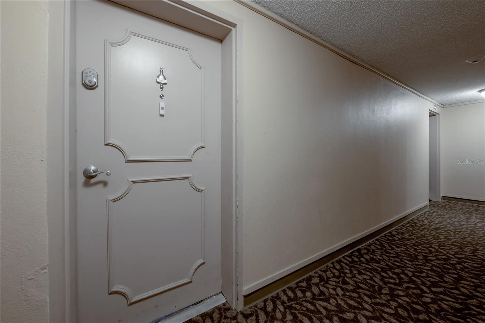 4141 BAYSHORE BLVD #1003