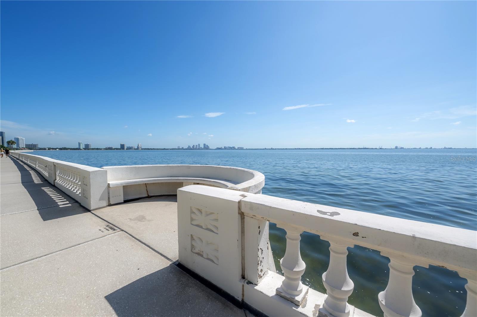 4141 BAYSHORE BLVD #1003
