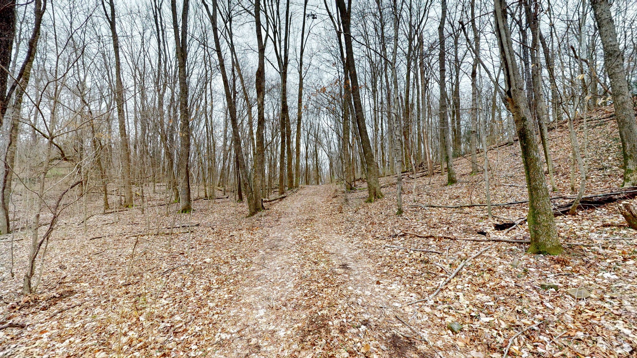 7445 River Road Pike