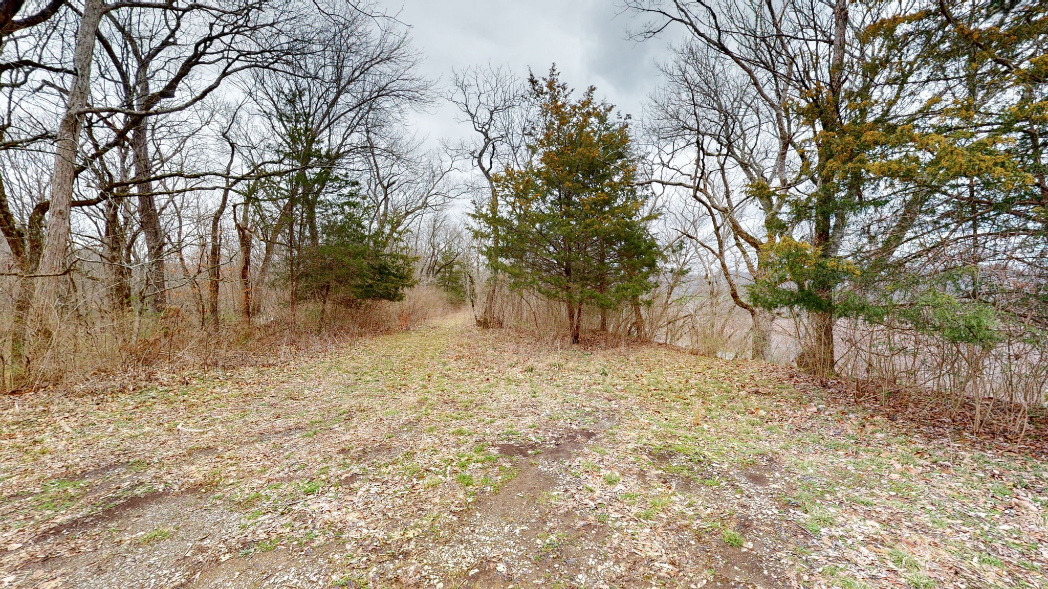 7445 River Road Pike