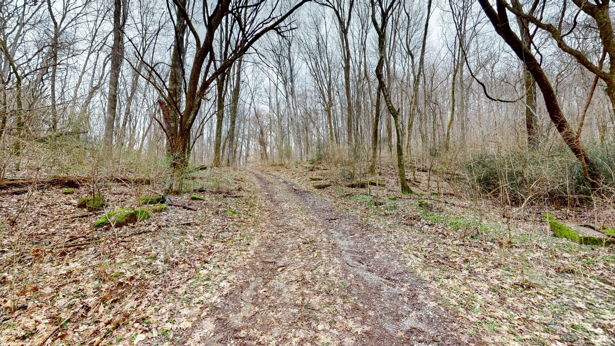 7445 River Road Pike