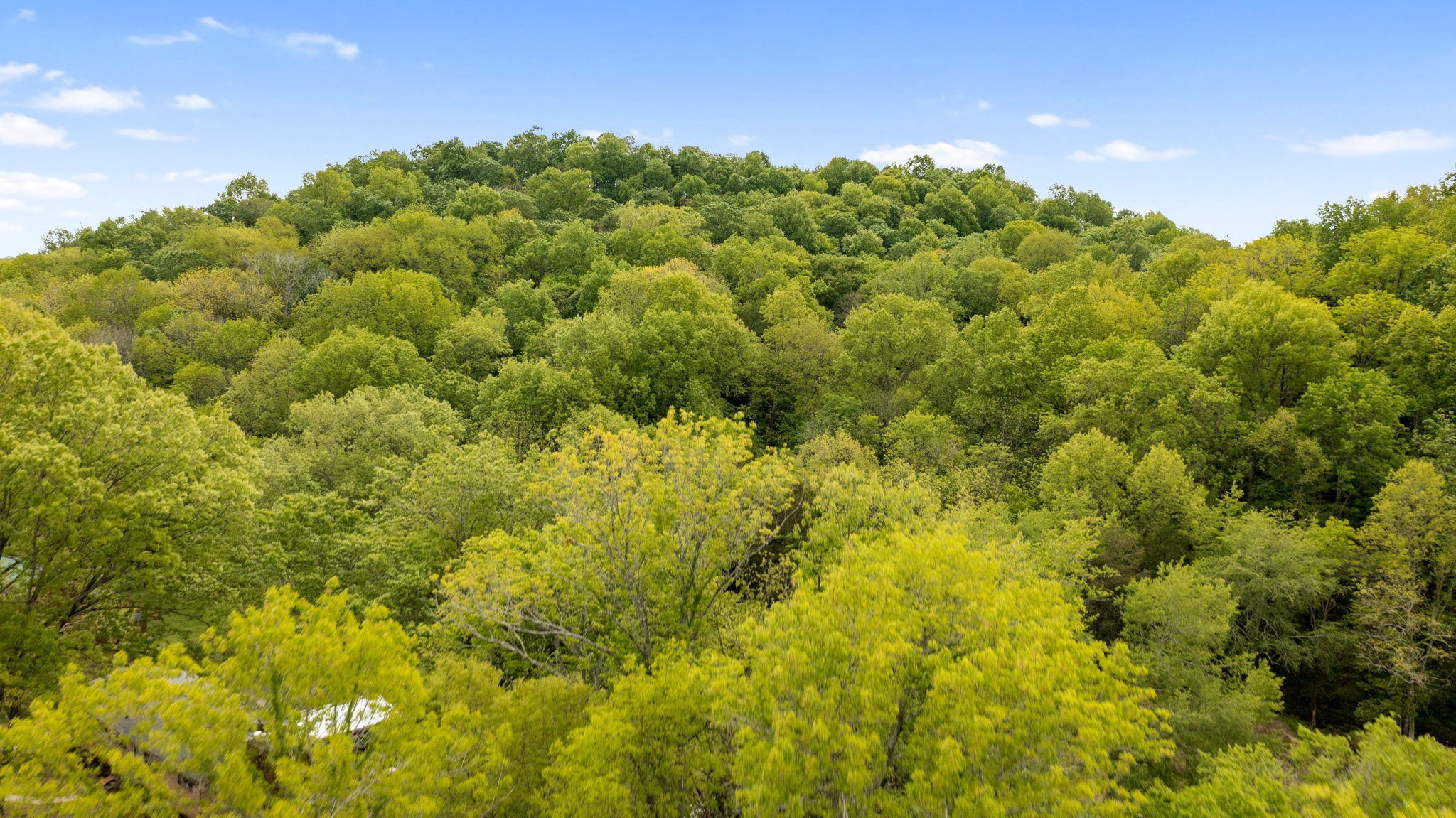 3347 Freeman Hollow Rd